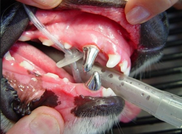 This Bread Pudding Will Give You All the Fall Feels