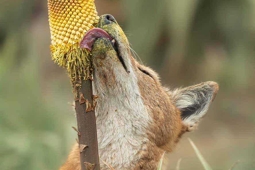 This Bread Pudding Will Give You All the Fall Feels