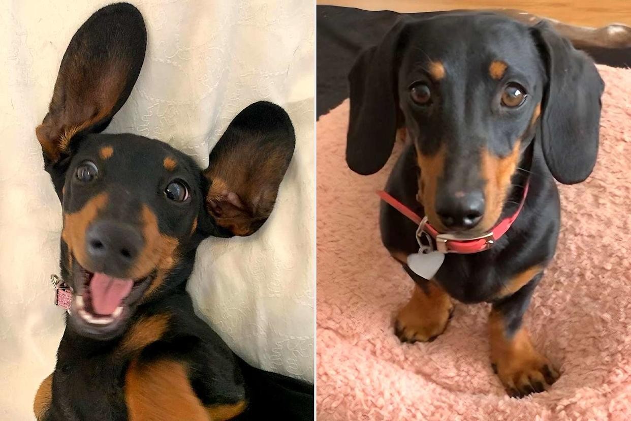 This Bread Pudding Will Give You All the Fall Feels