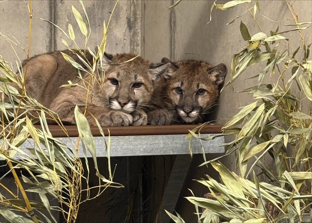 This Bread Pudding Will Give You All the Fall Feels