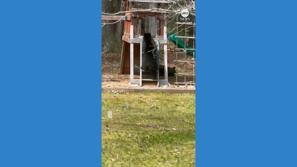 This Bread Pudding Will Give You All the Fall Feels